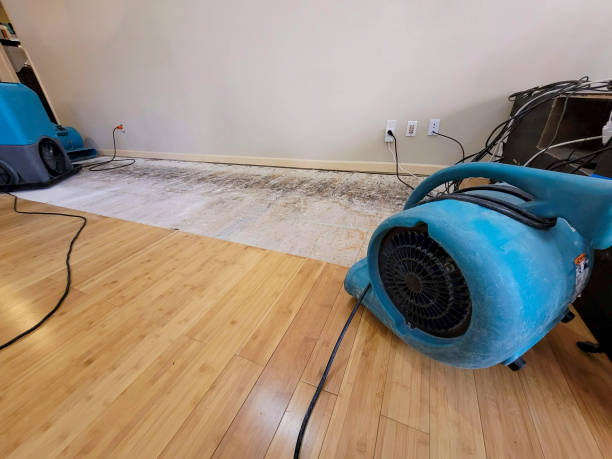 Reliable Basement Flood Cleanup contractor in Auburn, KY by Hirex Water Damage