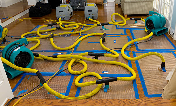 Professional Basement Flood Cleanup technician working in Auburn, KY